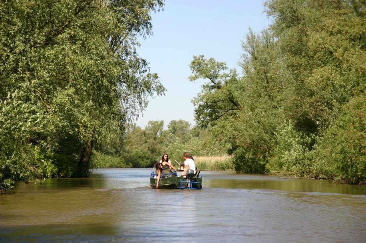 Nationaal Park De Biesbosch