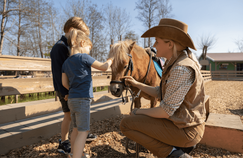 Pony's Vakantiepark Molenwaard
