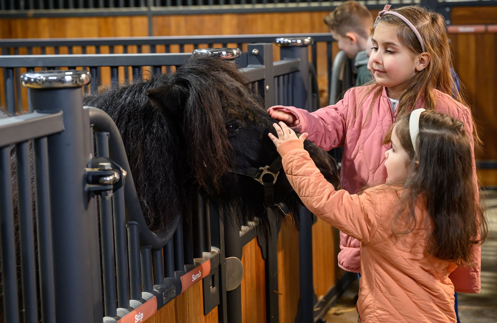 Stip de Pony Ranch